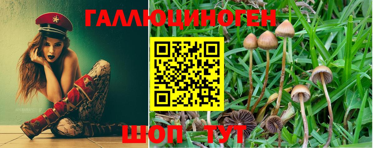 Долгопрудный  Галлюциногенные грибы мухоморы  Псилоцибиновые грибы мухоморы  Вход с VPN 
