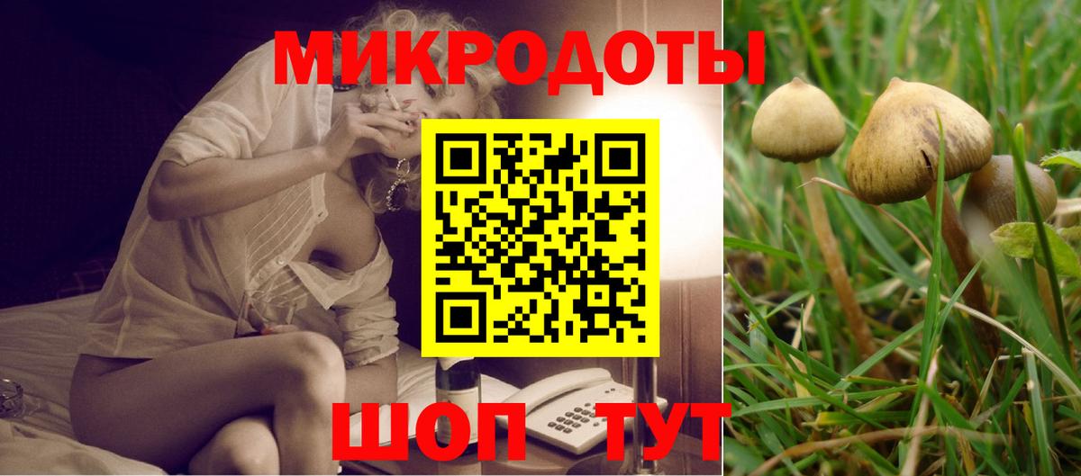 Галлюциногенные грибы Psilocybine cubensis Долгопрудный
