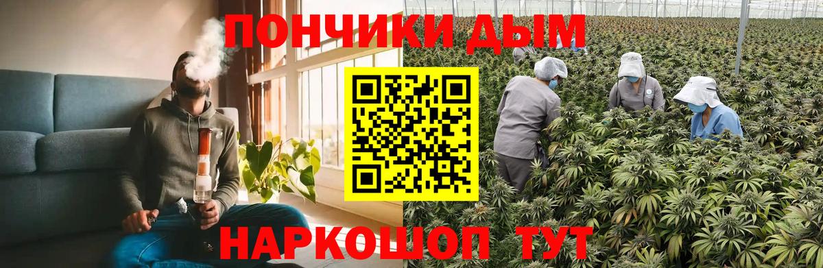 Каннабис VHQ Долгопрудный